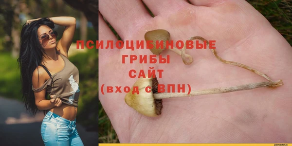 соль ск Аркадак
