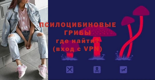прущий лед Арсеньев