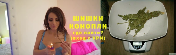 прущий лед Арсеньев