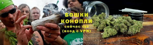 ALPHA PVP Коряжма