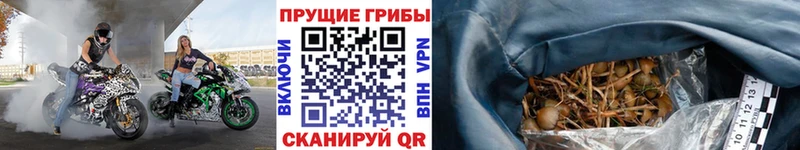 Галлюциногенные грибы ЛСД Буй